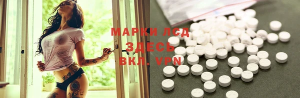 стаф Алексин