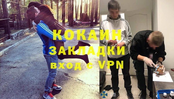 стаф Алексин