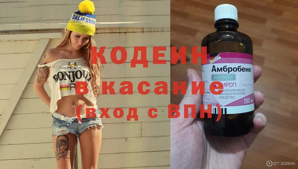 стаф Алексин